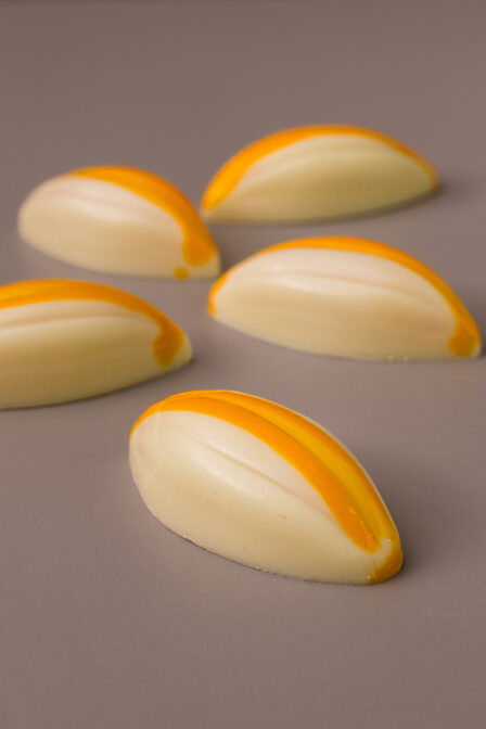 Kokos Mango bonbon